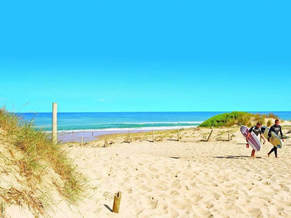 Comfortable Apartment With Wifi Located in the Dune Area