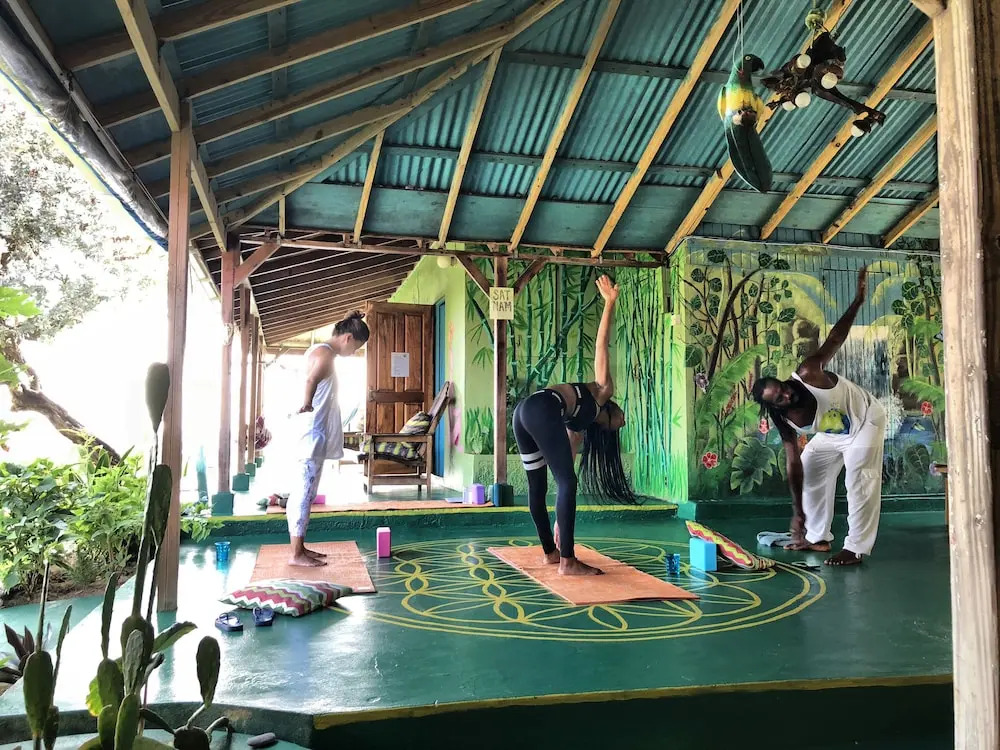 Go Natural Jamaica Retreats