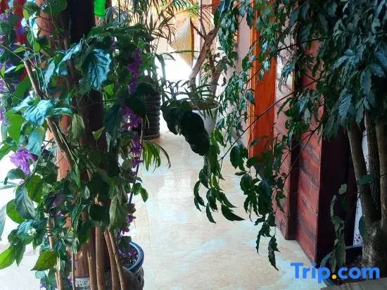 Puzhehei Anyi Jiayuan Homestay