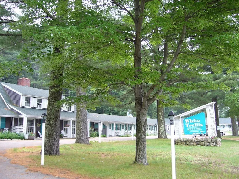 White Trellis Motel