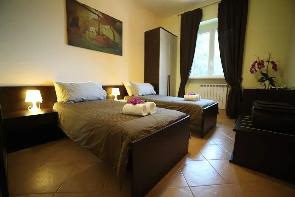 B&B Verdeoliva