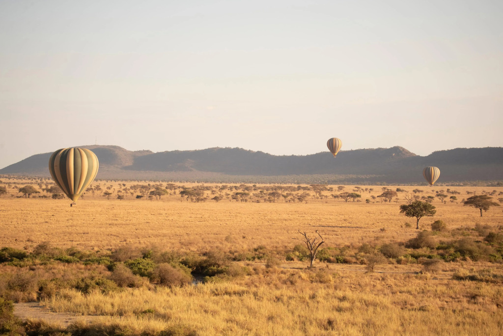 Meliá Serengeti Lodge member of Meliá Collection