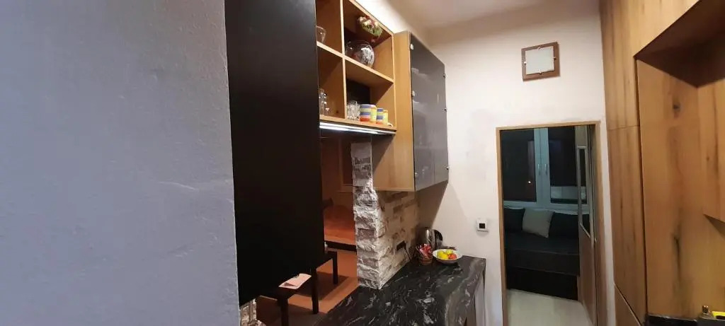 Apartment Nenov