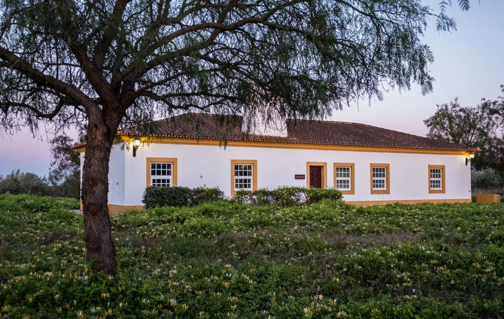 Vila Gale Alentejo Vineyard - Clube de Campo