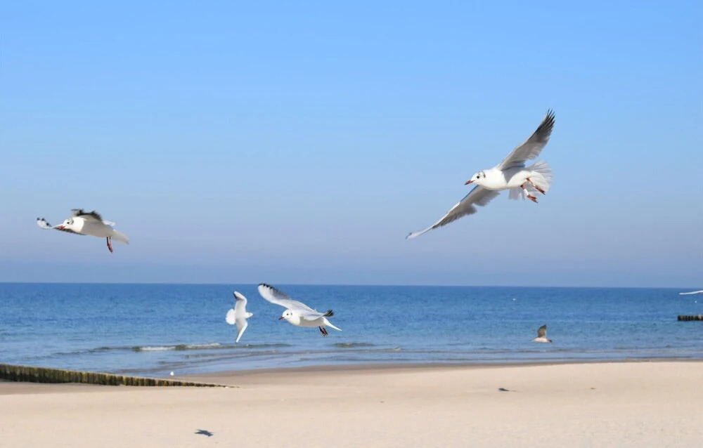 Beautiful Apartment in Gdansk With Wifi and 1 Bedrooms