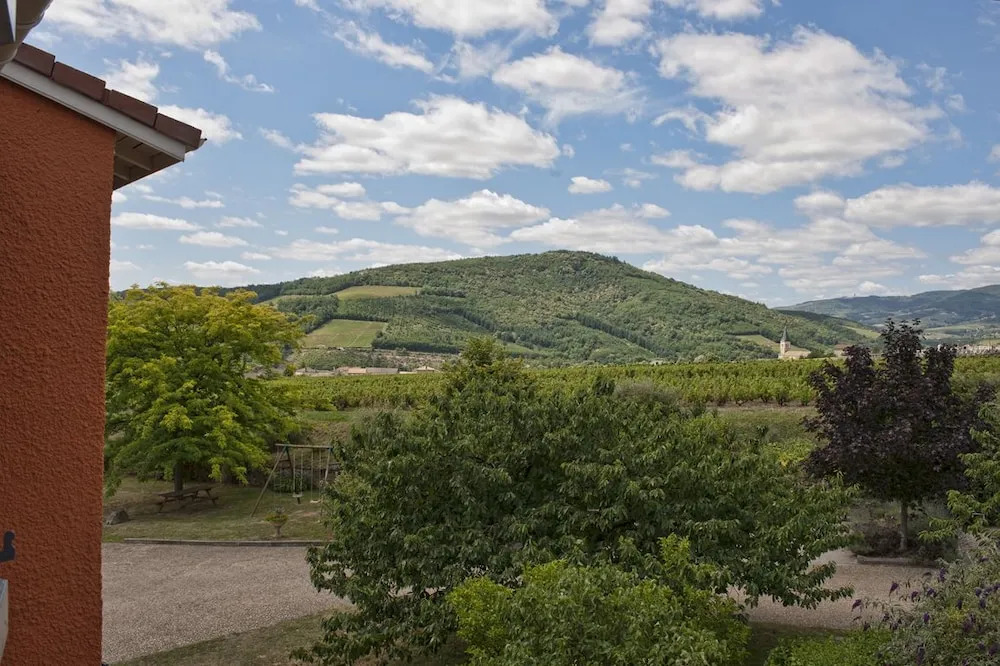 Hôtel des Vignes - Juliénas