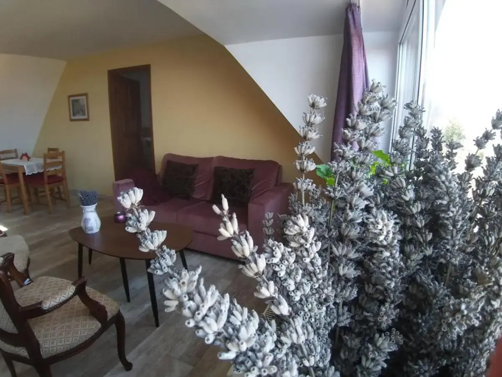 Apartments for Rent near Budapest