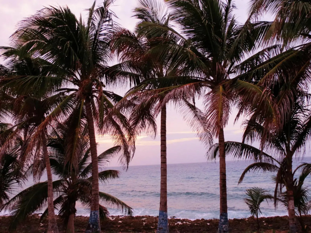Island House Hotels