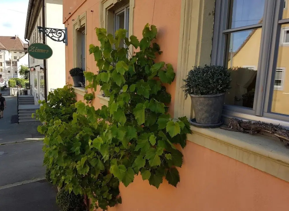 Gasthaus Krone