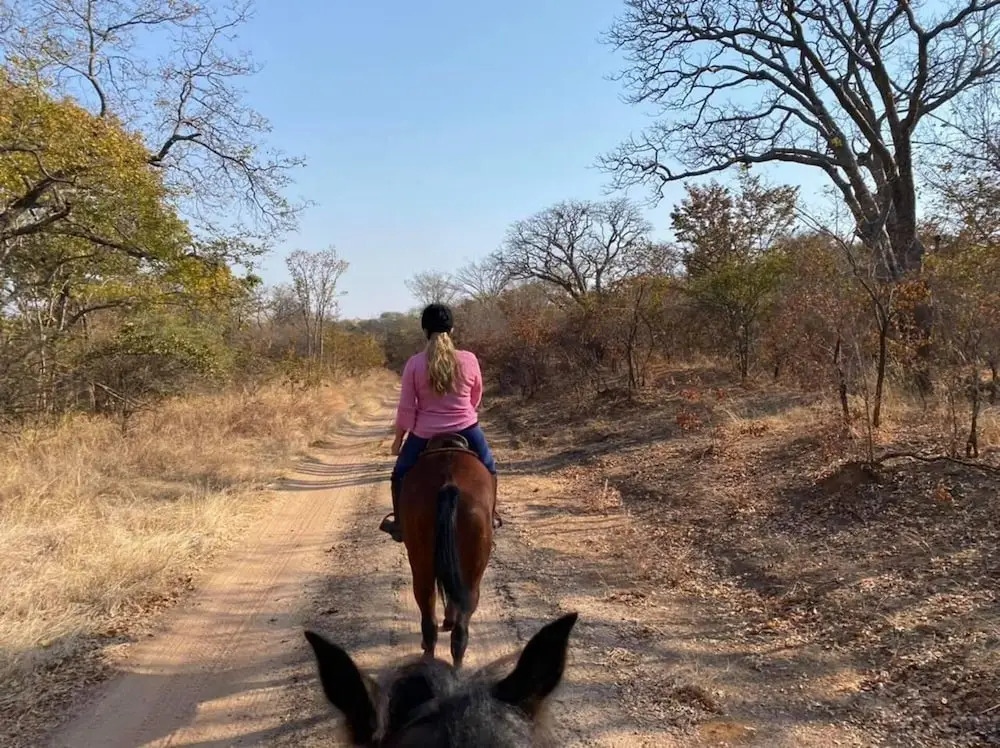 Holiday Rental Home in Victoria Falls