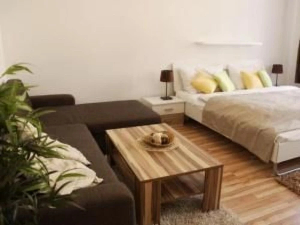 CheckVienna – Apartment Menzelgasse