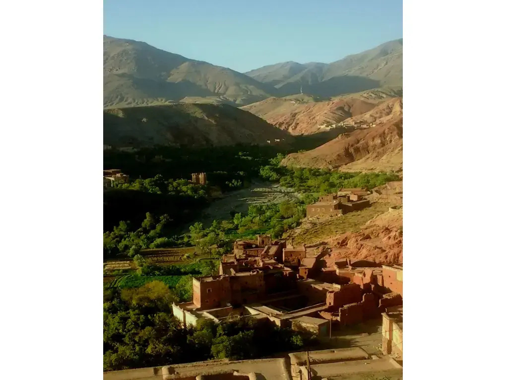 Aramja luxury camp
