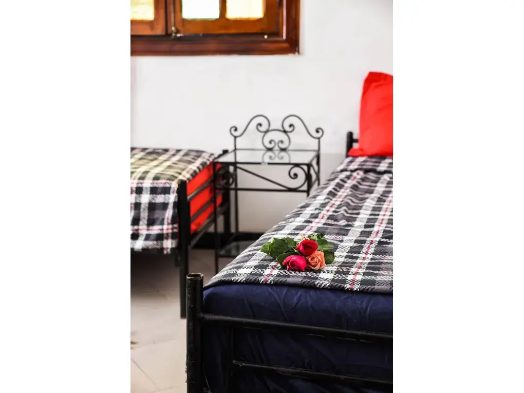 Peace Hostel - Adults Only
