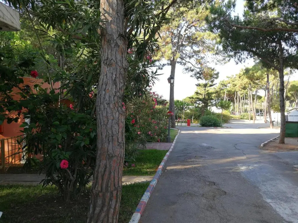 Camping La Buganvilla