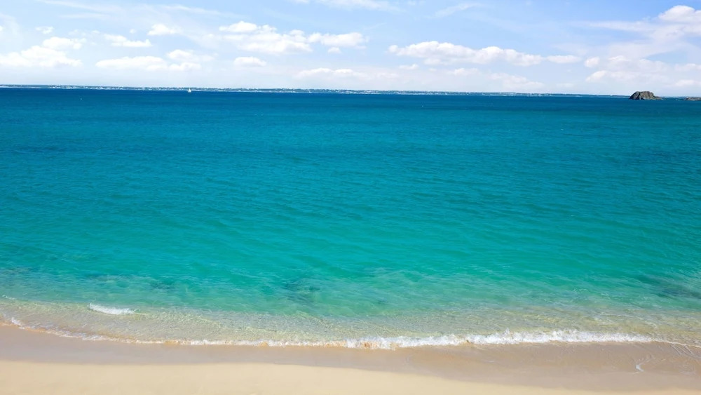 Bleu Marine