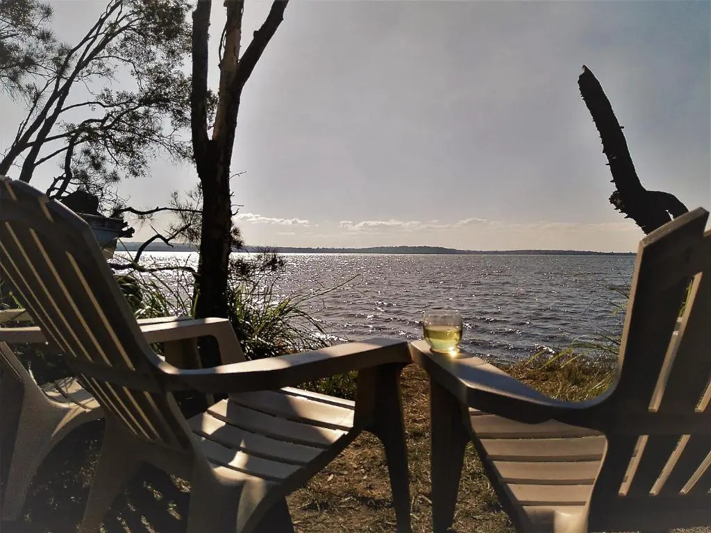 Lake Weyba Noosa Lodge & Kangaroos