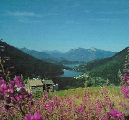 Hotel Krone