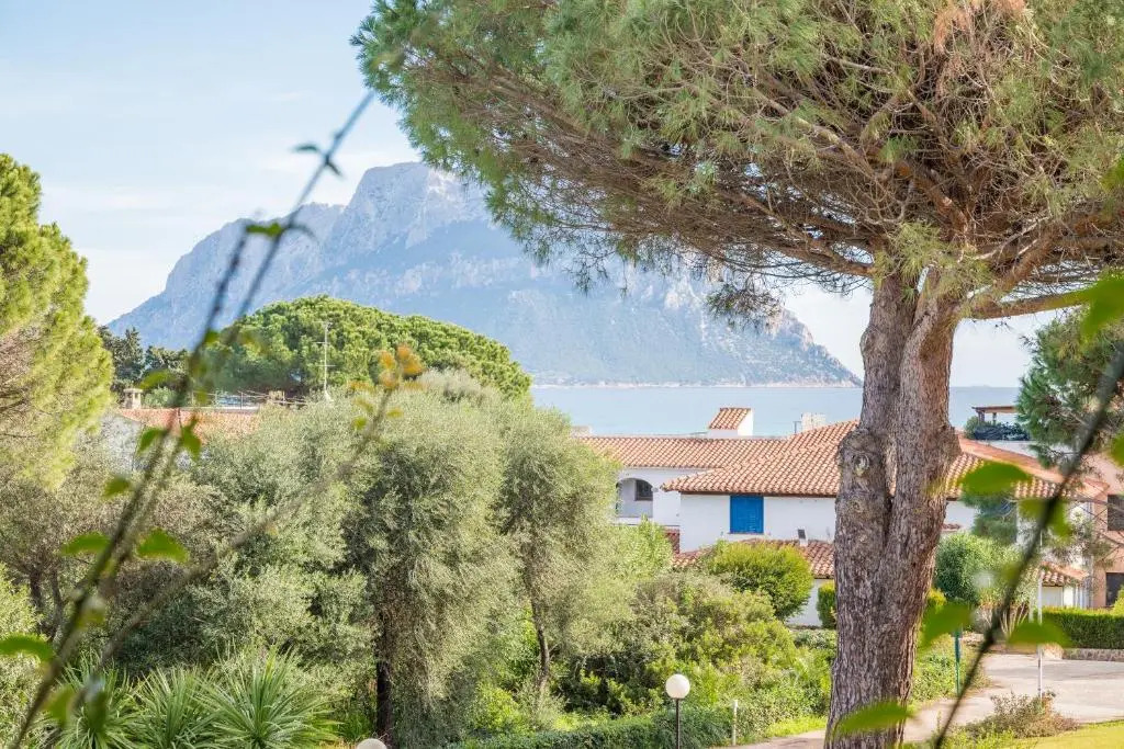 Piazzetta Casa Paola 200m From The Sea