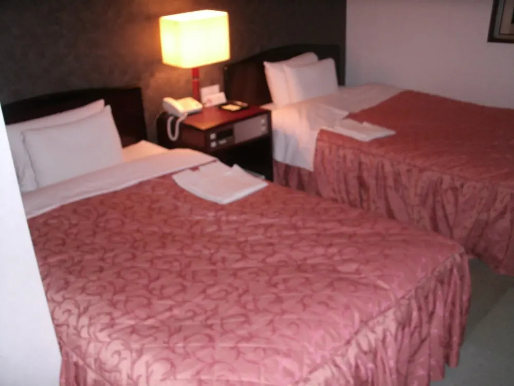 Hotel Honjo