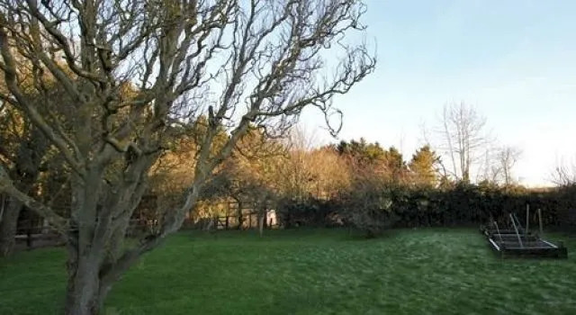 Golden Fleece B&B