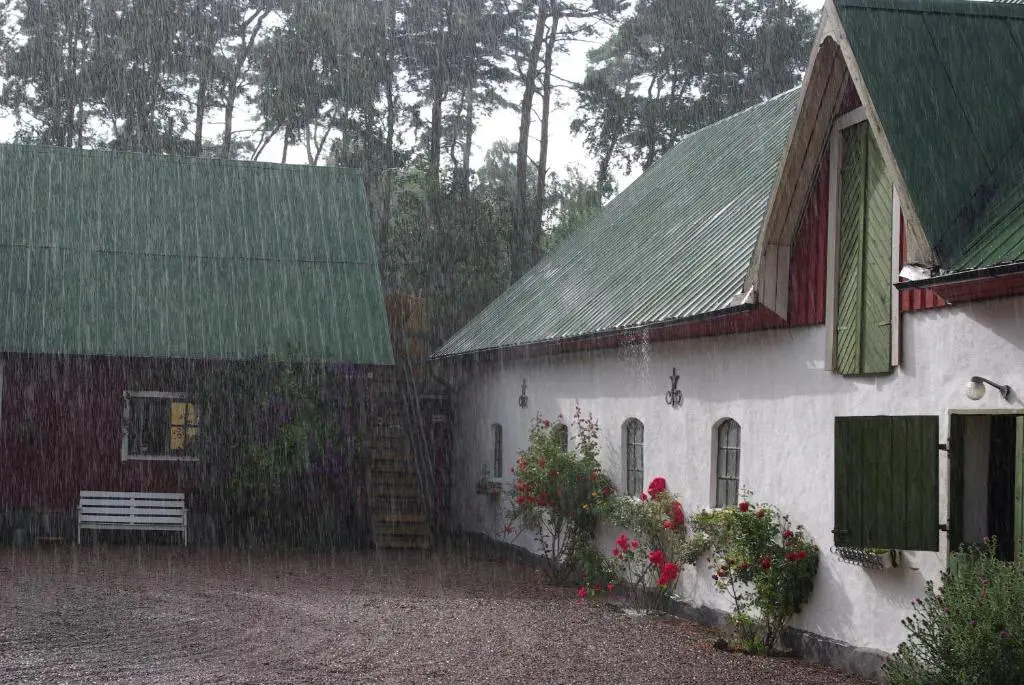 skummeslöv B & B
