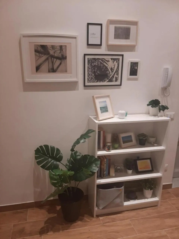Basile rooms