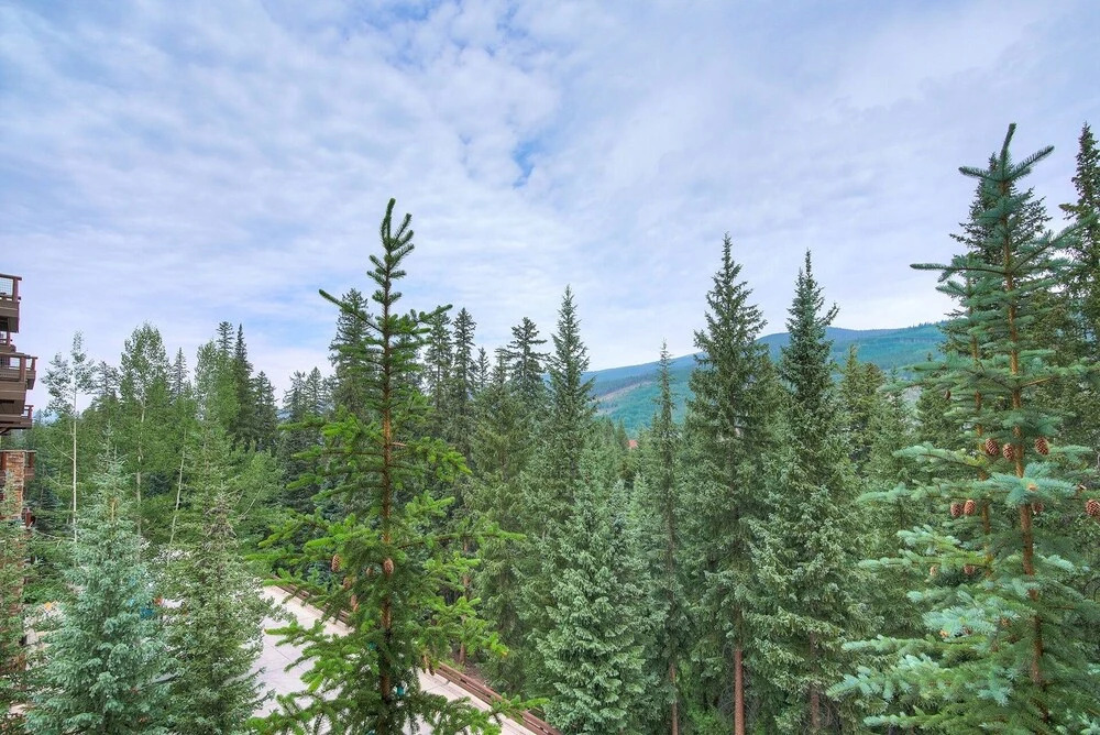 Luxurious 3 Br In River Run Village With Ski-in Out, No Cleaning Fee 3 Bedroom Condo by RedAwning