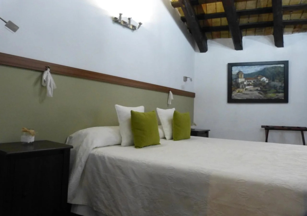Hotel del Arbol