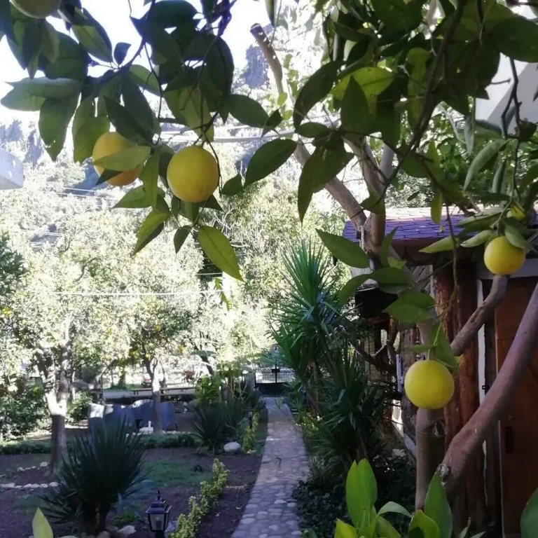 Relax Point Boutique Pension