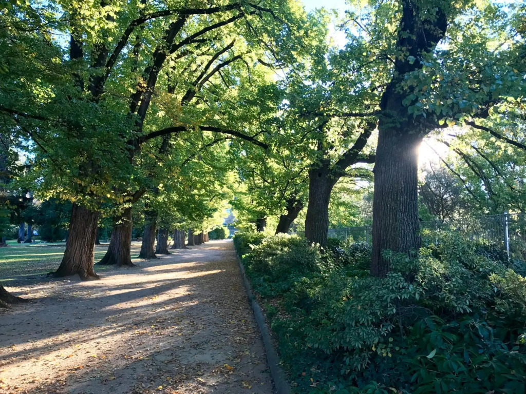 The Botanical 201
