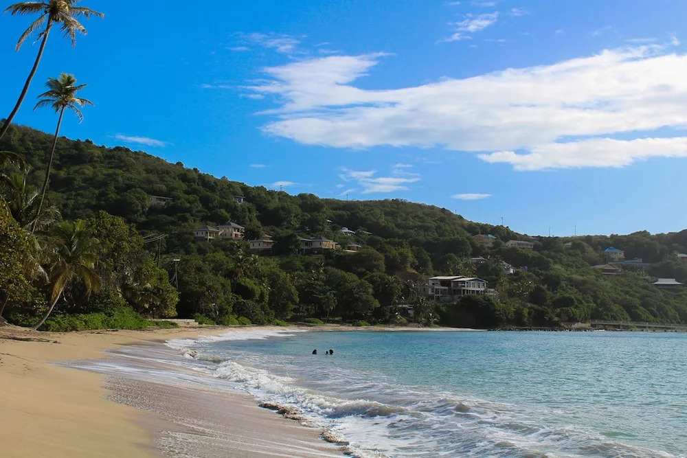 Sugarapple Bequia