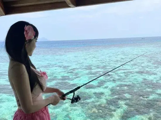 Jelly Sea Resort