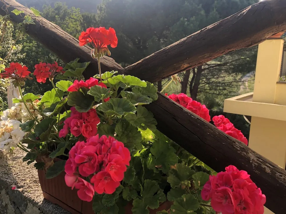 B&B Casale Coreallo Spotorno