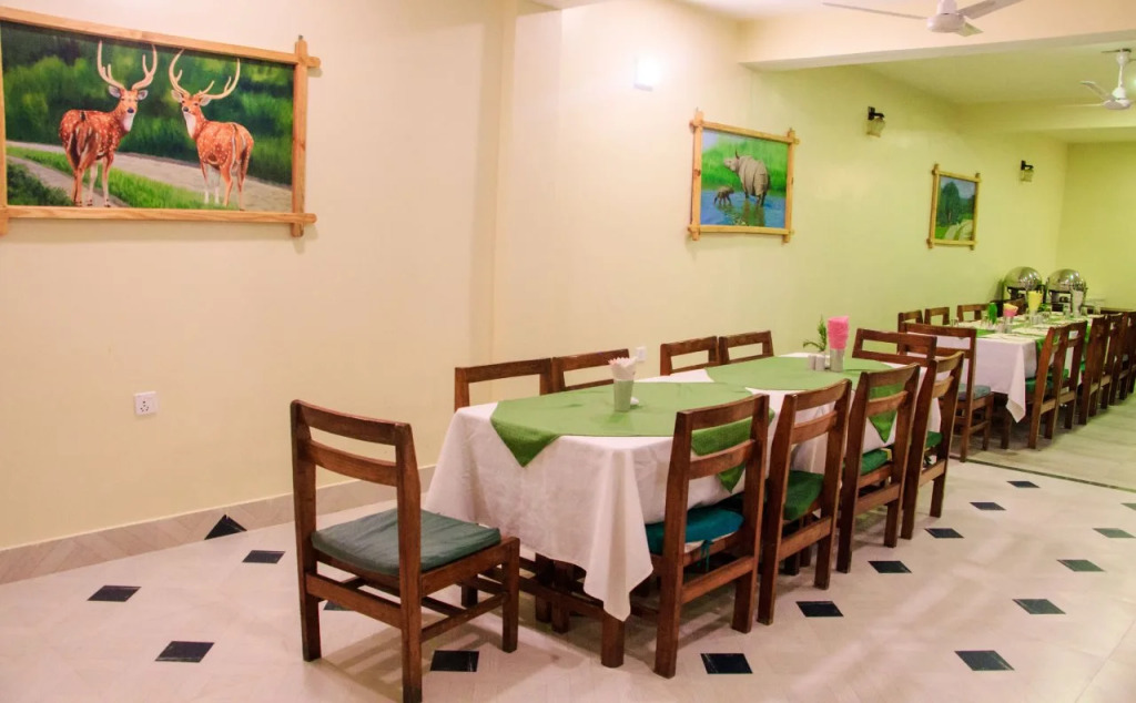 Hotel Rainforest