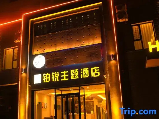 Datong Borui Theme Hotel