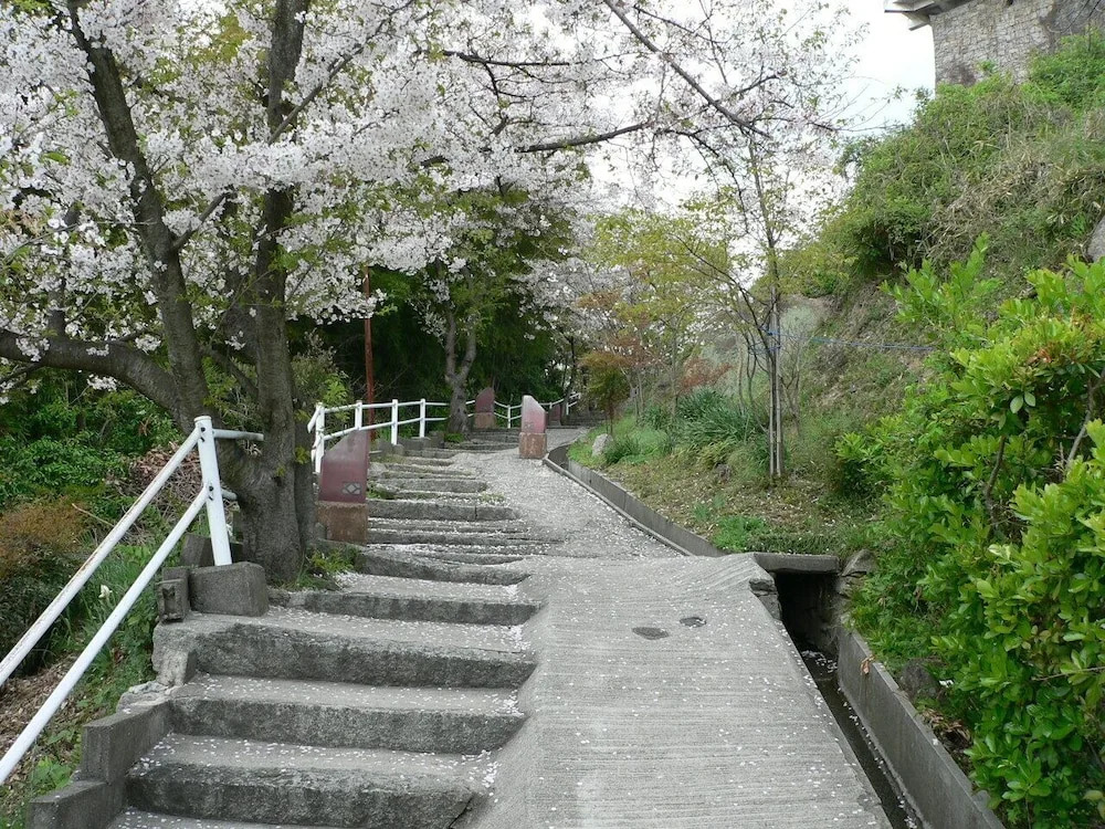 Saka no Kaze