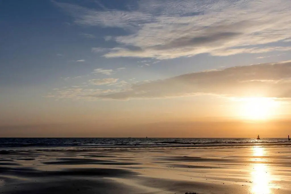 Boszicht aan de Kust 2