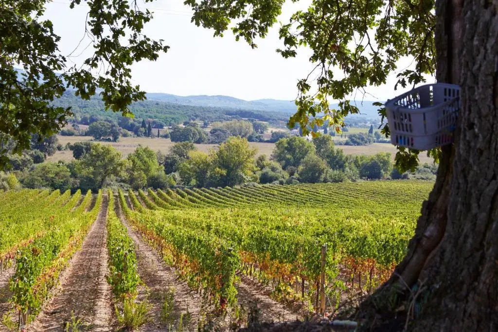 Holiday home with exclusive swimming pool in the Tuscan Maremma