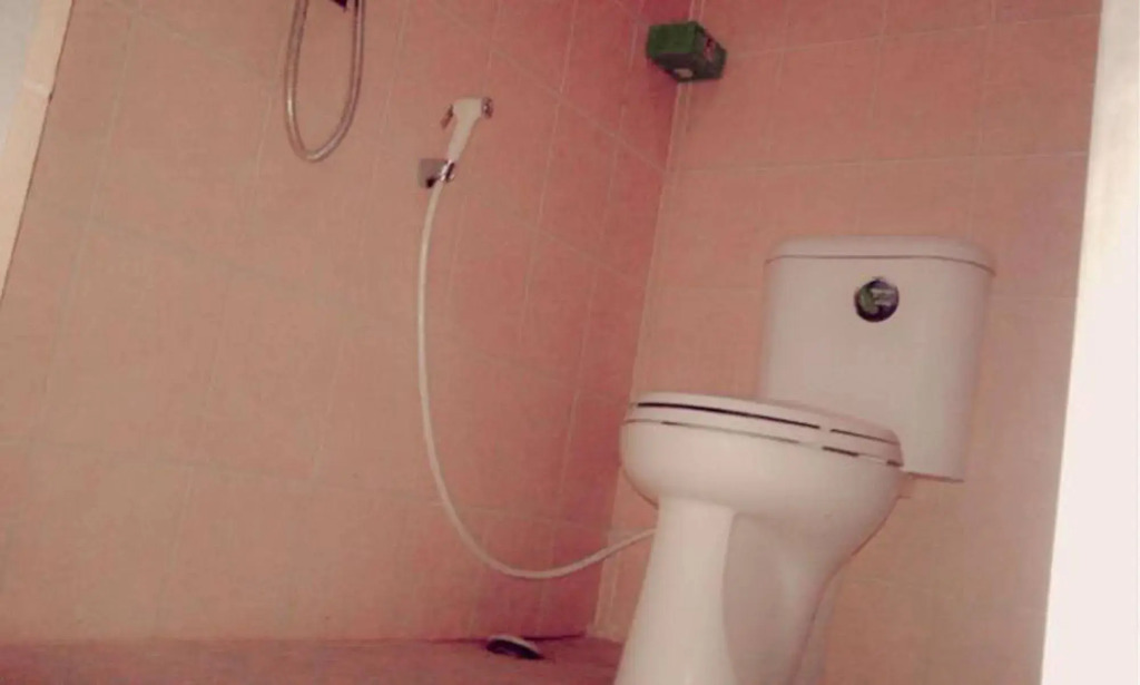 Swandewi Homestay