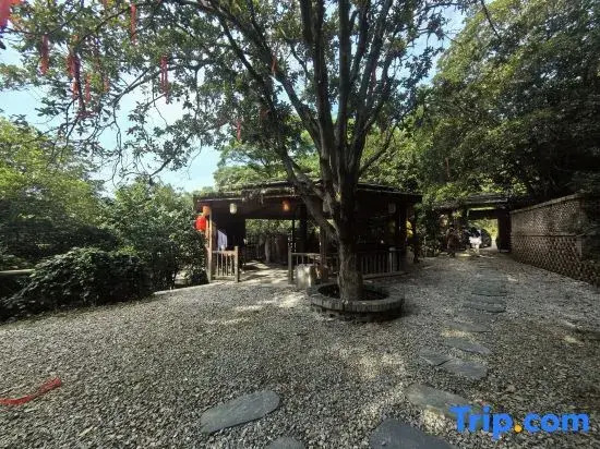 qingxigu
