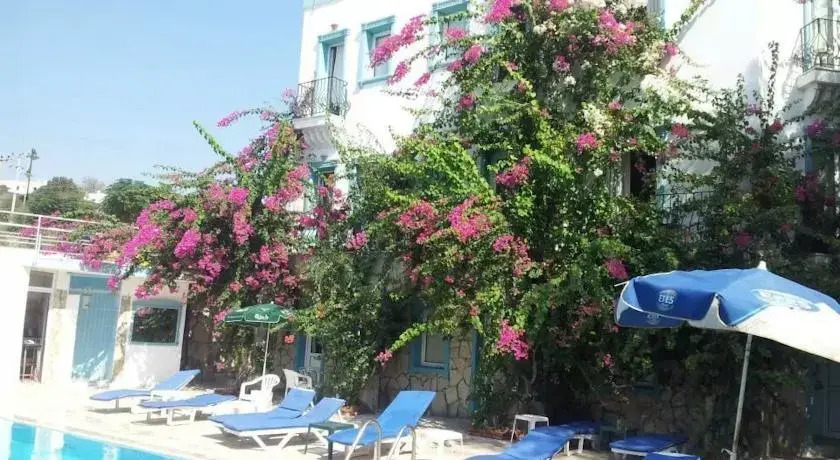 Blue Pearl Hotel