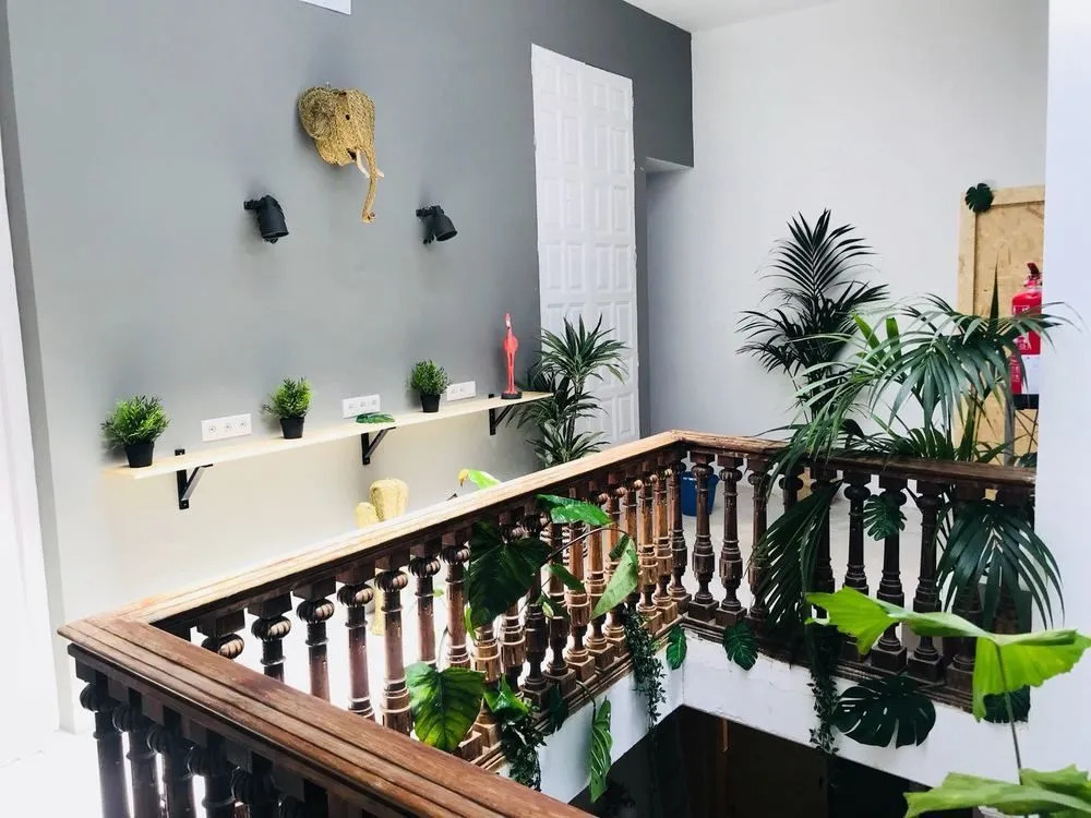The Urban Jungle Hostel