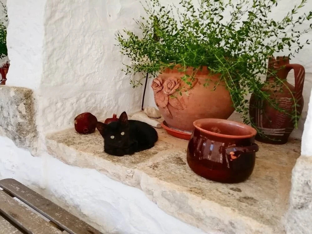 La Casa degli Uccellini Bio Agriturismo