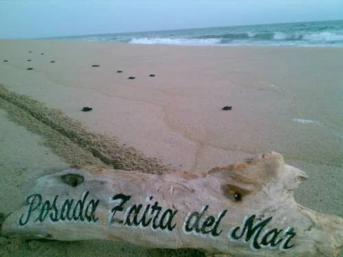 Posada Zaira del Mar