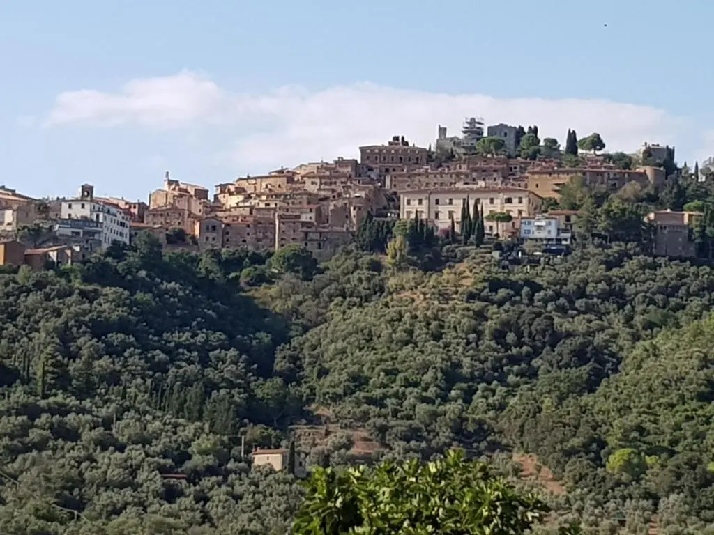 Luxury apartment Sestosenso La Porta