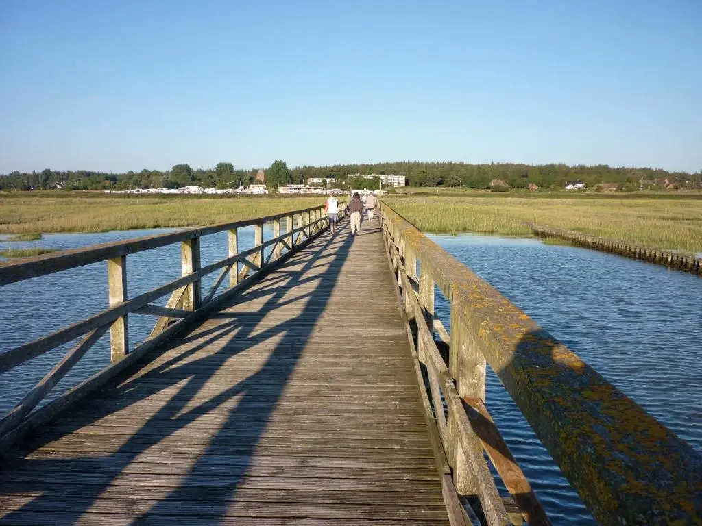 Nordseeblick