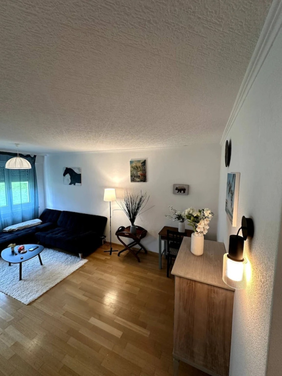 Furnished Apartment in Baden