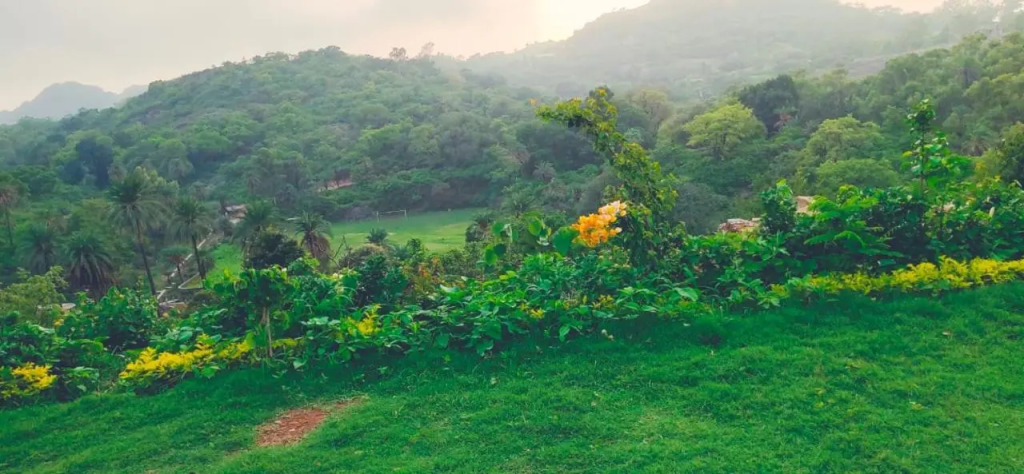 Toppers corner-A Boutique Garden Resort