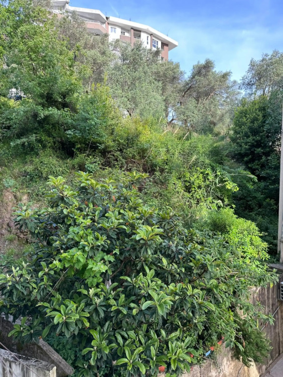 Quiet Studio in a great location