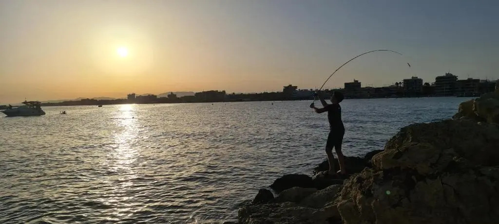 75 Avinguda de Murcia